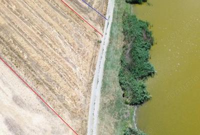 Teren de 6500 mp, în Frumușani - 8