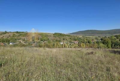 Teren Construcții intravilan de 11000 mp, în Suceagu