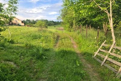 Teren Construcții intravilan de 471 mp, în Mușcel - 4