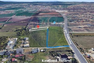 Teren 2464 mp, Sanmartin, proximitate Str. Nufarului, front 21,35 m - 5
