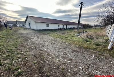 Platforma industriala 27.000mp - Racova - Buhusi - 1