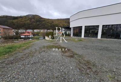 EXCLUSIVITATE! Restaurant de vanzare, Mobilat/Utiliat, 565 mp,cu teren 5.000 mp! - 1