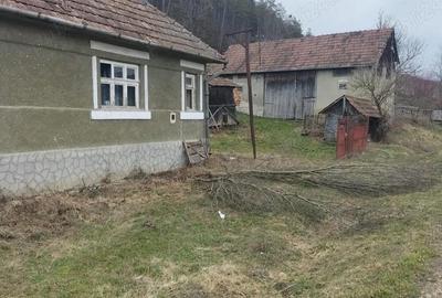 Casă cu 2 camere în Diviciorii Mari - 4