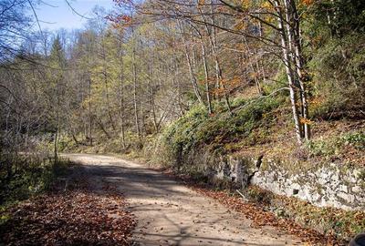 Teren Construcții extravilan de 20000 mp, în Siriu - 25