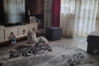Apartament 2 camere-etaj 1-renovat 2021-Profi Standard - 3