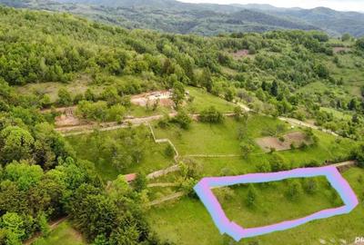 Teren de 2000 mp, în Brusturi - 9