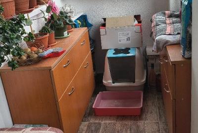 Apartament cu 2 camere decomandat în Valea Oltului - 2