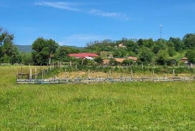 Teren de 1743 mp, în Tisău - 5