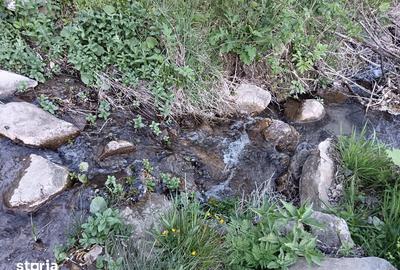 Teren de 635 mp, în Cornereva - 4