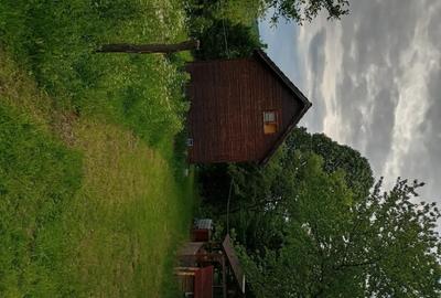 Casă cu 2 camere cu Teren 5500 Mp în Sibișel (Beriu) - 9