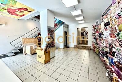 Casă individuală cu 13 camere cu Canalizare în Pache Protopopescu - 33