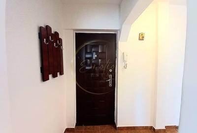 Apartament cu 2 camere nedecomandat, mobilat în Șagului - 9