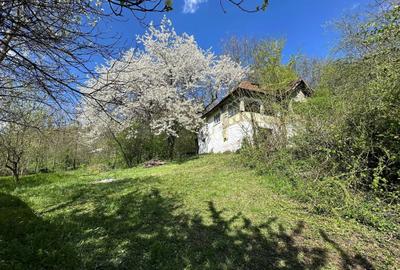 Casă cu 4 camere în Valea Stâlpului - 2