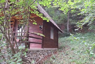 Casă cu 6 camere cu Teren 2700 Mp în Bradu - 1