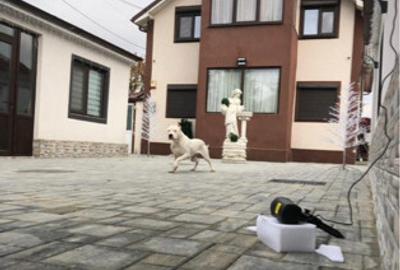 Casa in Valu lui Traian - 7