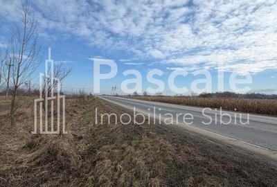 Teren de 5000 mp, în Central - 2