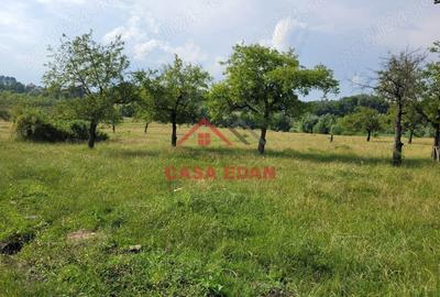 Casă cu Teren 1490 Mp în Voila - 4