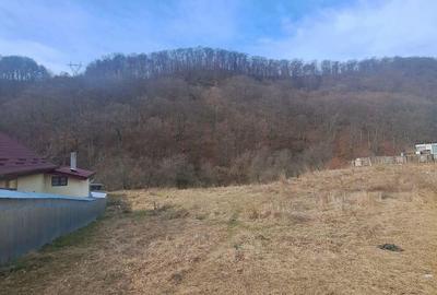 Teren intravilan zona humarie sarata Teren intravilan zona humarie sarata - 6