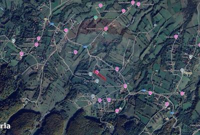 Teren de 4223 mp, în Bran - 17