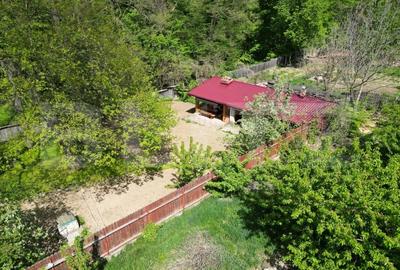 Casuta de vacanta in padure , zona Barnova - 1