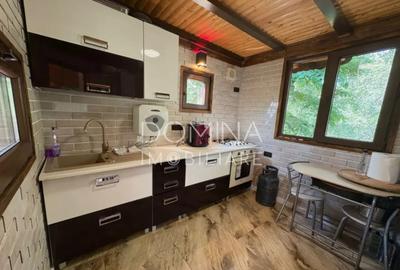 Casă cu 7 camere cu Teren 10408 Mp în Bumbești-Pițic - 5