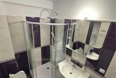 Apartament cu 3 camere, pe doua niveluri, Iris/Auchan - 6