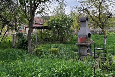 Teren de vanzare 8114 mp si  casa   in Coroisanmartin-Mures - 2