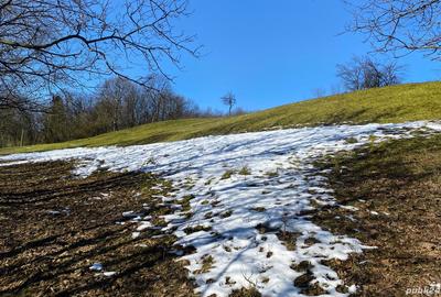 Teren de 10000 mp, în Cornu - 4