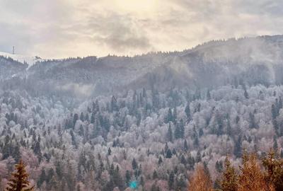 Vila spatioasa -7 camere-vedere panoramica-Azuga - 9