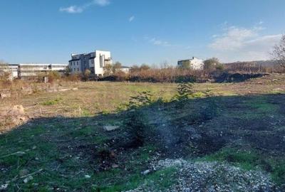 Teren Otopeni - Complexul Sportiv de Natatie Teren Otopeni - Complexul Sportiv de Natatie - 1