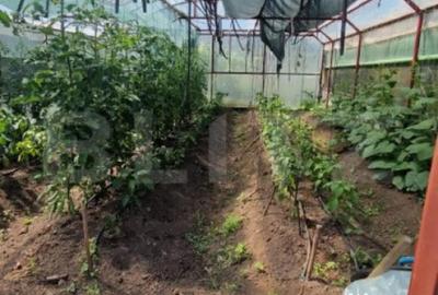 Casă cu 5 camere cu Teren 1600 Mp în Vulcan - 6