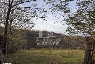 Casă cu 4 camere cu Teren 2231 Mp în Cerbăl - 5