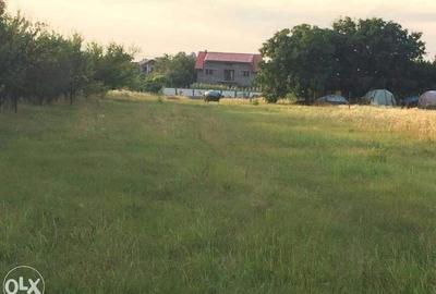 Teren in Ciofliceni, comuna Snagov, pe strada Stefanita Voda. Pret negociabil. - 9