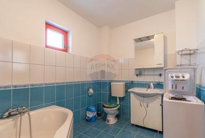 Casa de vanzare Jucu de Mijloc, Zona Panemar Teren intrav... - 4