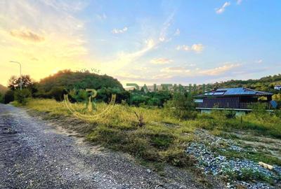 Teren de vânzare Cisnădioara – 2 parcele a câte 1.250 mp, utilități pe teren - 4