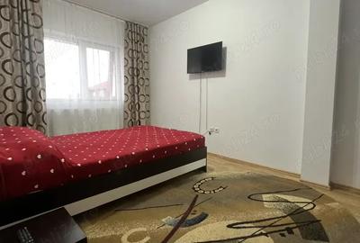 Vand apartament 2 camere mansarda - 2