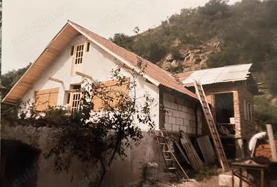 Vand casa cu teren in Paulis - 1