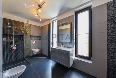 Casa superba cartier Europa/Faget la un pret foarte bun! - 33