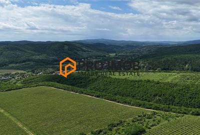Teren agricol extravilan de 7992 mp, în Vernești - 1
