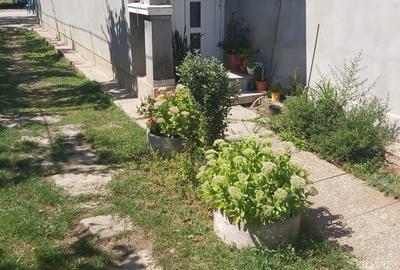Crevedia Mare, Casa 3 cam 120 mp, Teren 2100 mp - 4