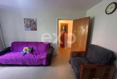 Apartament cu 3 camere semidecomandat în Teiul Doamnei - 8