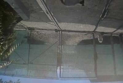 Vand casuta de bleck friday cite?te bine anun?ul - 7