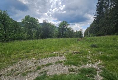 REL4001144 Teren de vanzare in Valea Doftanei - 2