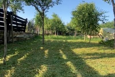 Casă individuală cu 3 camere cu Teren 1500 Mp în Cerneteaz - 1