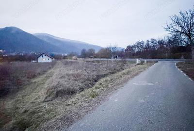 Teren în Vețel - 5