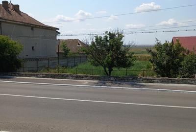 Teren de 1300 mp, în Ceamurlia de Jos - 1