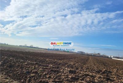 Teren de 18000 mp, în Moara Vlăsiei - 6