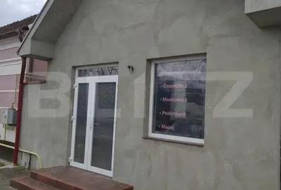 Casa de vanzare in Biharia - 6