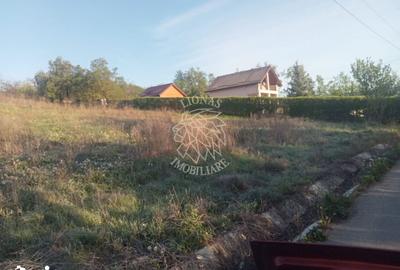 Teren de 10000 mp, în Aluniș - 2