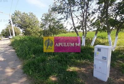 Teren de 5000 mp, în Copăceni - 11